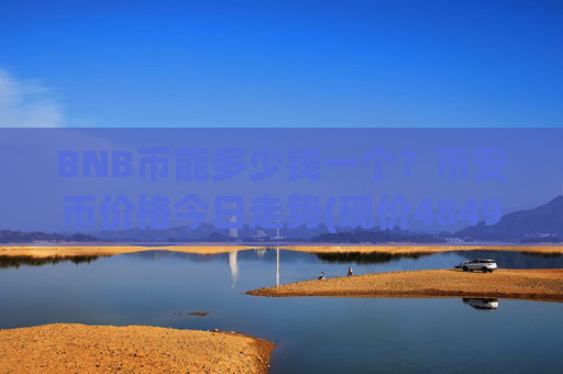 BNB币能多少钱一个？币安币价格今日走势(现价4849.52元)