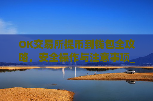 OK交易所提币到钱包全攻略，安全操作与注意事项_ok交易所的币怎么提到钱包里