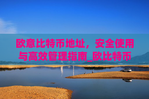 欧意比特币地址，安全使用与高效管理指南_欧比特币官网