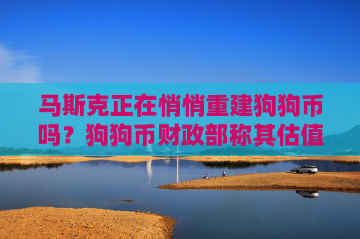 马斯克正在悄悄重建狗狗币吗？狗狗币财政部称其估值2亿美元