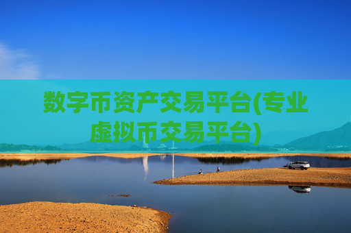 数字币资产交易平台(专业虚拟币交易平台)