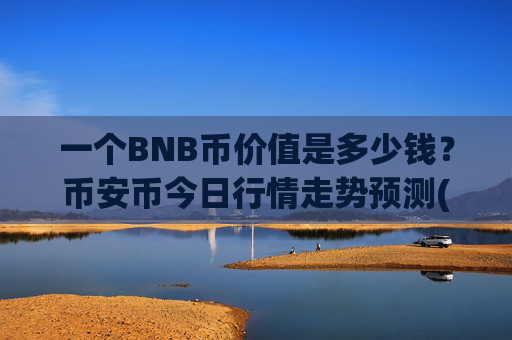 一个BNB币价值是多少钱？币安币今日行情走势预测(现价4822.91元)