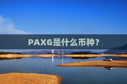 PAXG是什么币种？