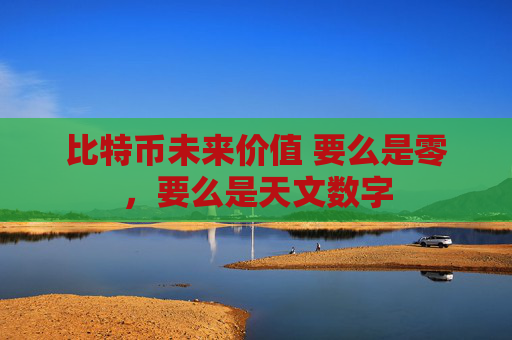 比特币未来价值 要么是零，要么是天文数字