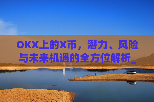 OKX上的X币，潜力、风险与未来机遇的全方位解析_ok 币