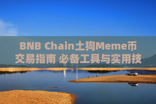 BNB Chain土狗Meme币交易指南 必备工具与实用技巧全解析