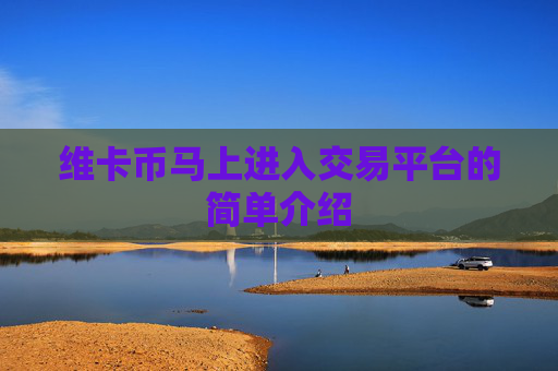 维卡币马上进入交易平台的简单介绍