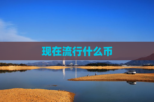 现在流行什么币