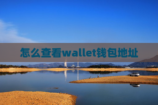 怎么查看wallet钱包地址