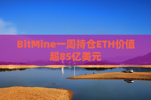 BitMine一周持仓ETH价值超85亿美元