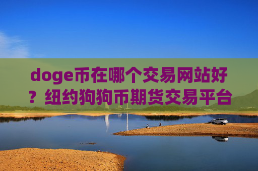 doge币在哪个交易网站好？纽约狗狗币期货交易平台app