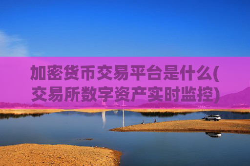 加密货币交易平台是什么(交易所数字资产实时监控)