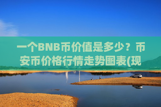一个BNB币价值是多少？币安币价格行情走势图表(现价4877.98元)
