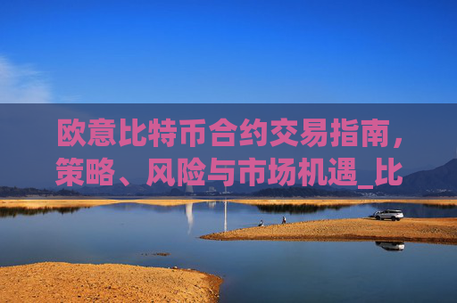 欧意比特币合约交易指南，策略、风险与市场机遇_比特币合约omex