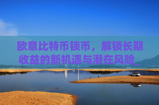 欧意比特币锁币，解锁长期收益的新机遇与潜在风险_欧比特币是什么