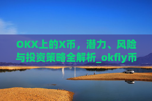 OKX上的X币，潜力、风险与投资策略全解析_okfiy币