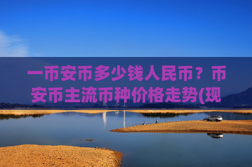 一币安币多少钱人民币？币安币主流币种价格走势(现价4849.44元)
