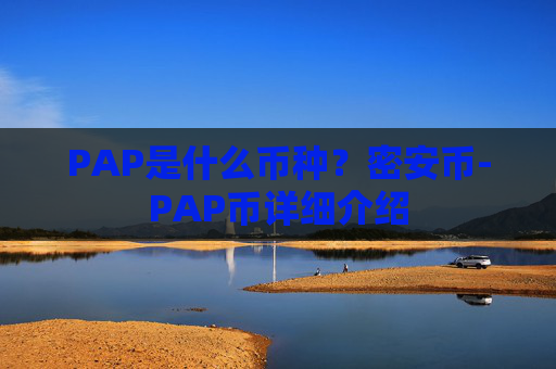 PAP是什么币种？密安币-PAP币详细介绍