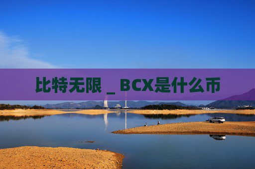 比特无限 _ BCX是什么币
