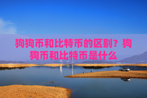狗狗币和比特币的区别？狗狗币和比特币是什么
