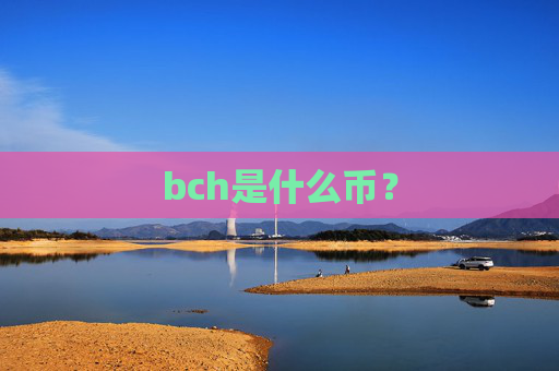 bch是什么币？