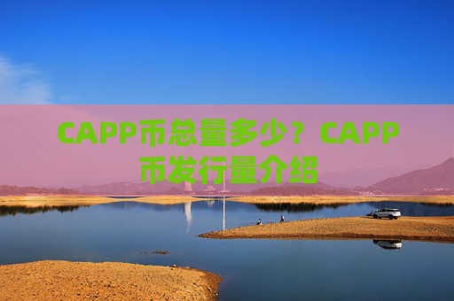 CAPP币总量多少？CAPP币发行量介绍