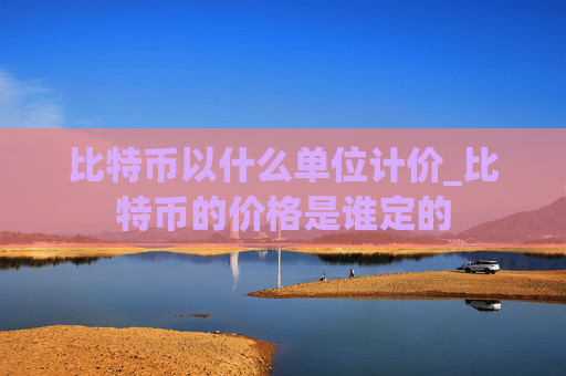 比特币以什么单位计价_比特币的价格是谁定的