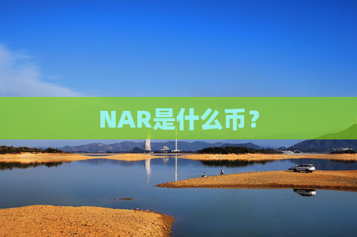 NAR是什么币？