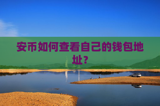 安币如何查看自己的钱包地址？