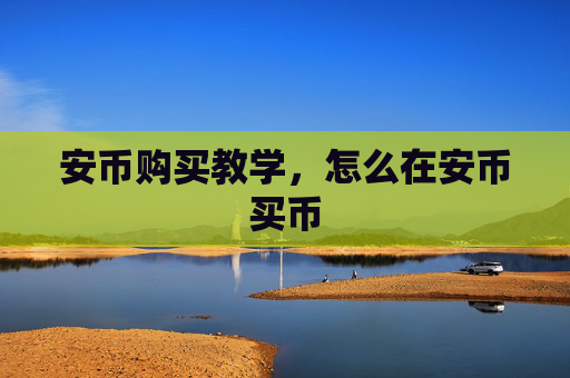 安币购买教学，怎么在安币买币