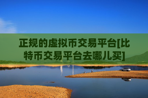 正规的虚拟币交易平台[比特币交易平台去哪儿买]