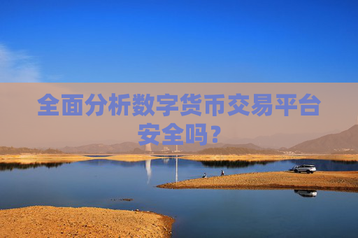 全面分析数字货币交易平台安全吗？