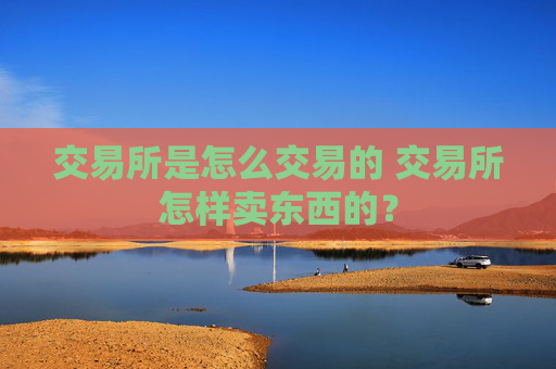 交易所是怎么交易的 交易所怎样卖东西的？
