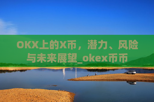 OKX上的X币，潜力、风险与未来展望_okex币币
