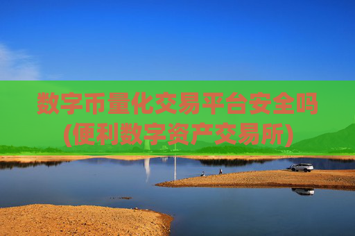 数字币量化交易平台安全吗(便利数字资产交易所)