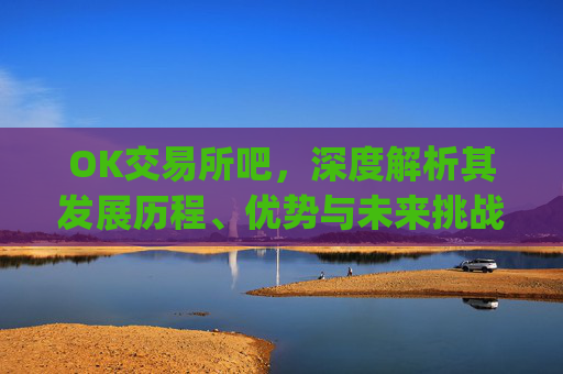 OK交易所吧，深度解析其发展历程、优势与未来挑战_ok 交易所