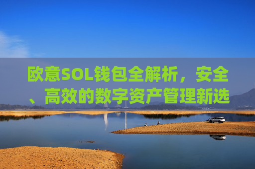 欧意SOL钱包全解析，安全、高效的数字资产管理新选择_oex钱包是什么