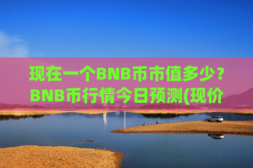 现在一个BNB币市值多少？BNB币行情今日预测(现价4866.82元)