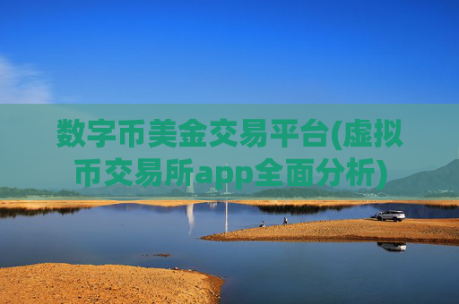 数字币美金交易平台(虚拟币交易所app全面分析)