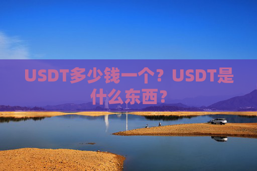 USDT多少钱一个？USDT是什么东西？