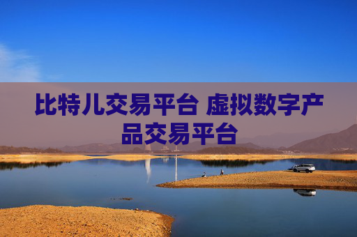 比特儿交易平台 虚拟数字产品交易平台