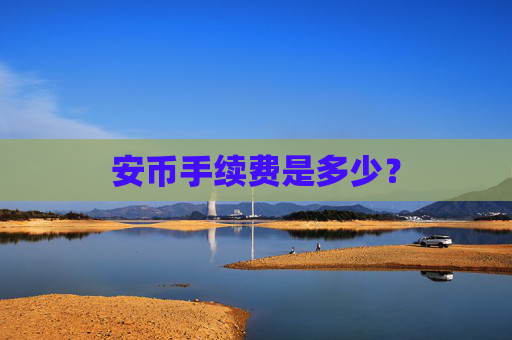 安币手续费是多少？