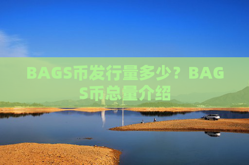 BAGS币发行量多少？BAGS币总量介绍