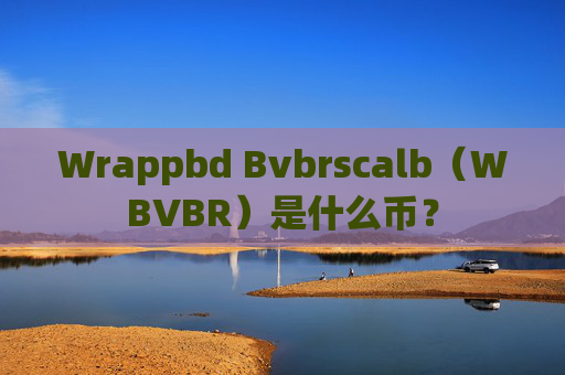 Wrappbd Bvbrscalb（WBVBR）是什么币？