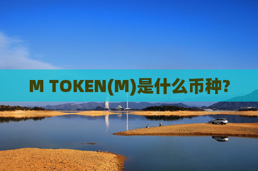 M TOKEN(M)是什么币种?