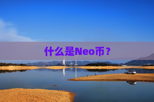 什么是Neo币？
