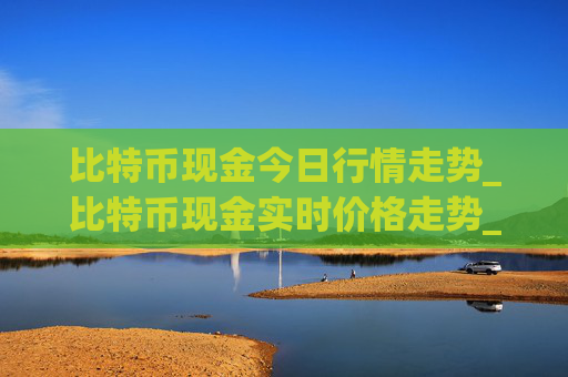 比特币现金今日行情走势_比特币现金实时价格走势_比特币现金最新价格
