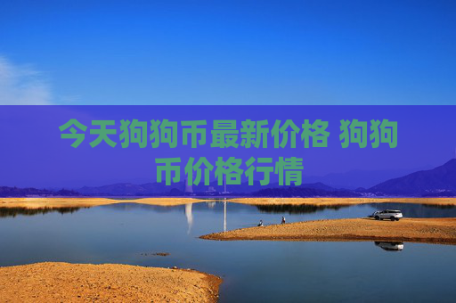 今天狗狗币最新价格 狗狗币价格行情