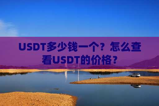 USDT多少钱一个？怎么查看USDT的价格？