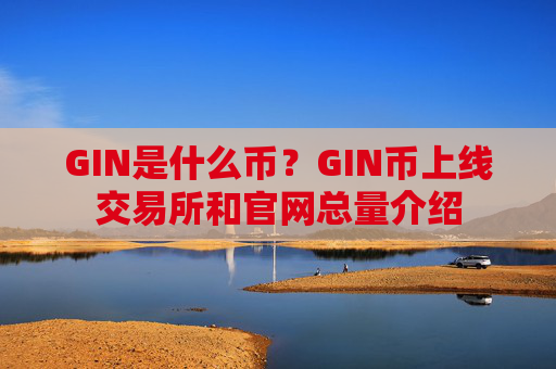 GIN是什么币？GIN币上线交易所和官网总量介绍